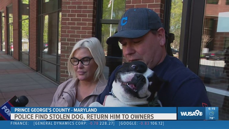 Stolen dog found and returned to owners in Maryland
