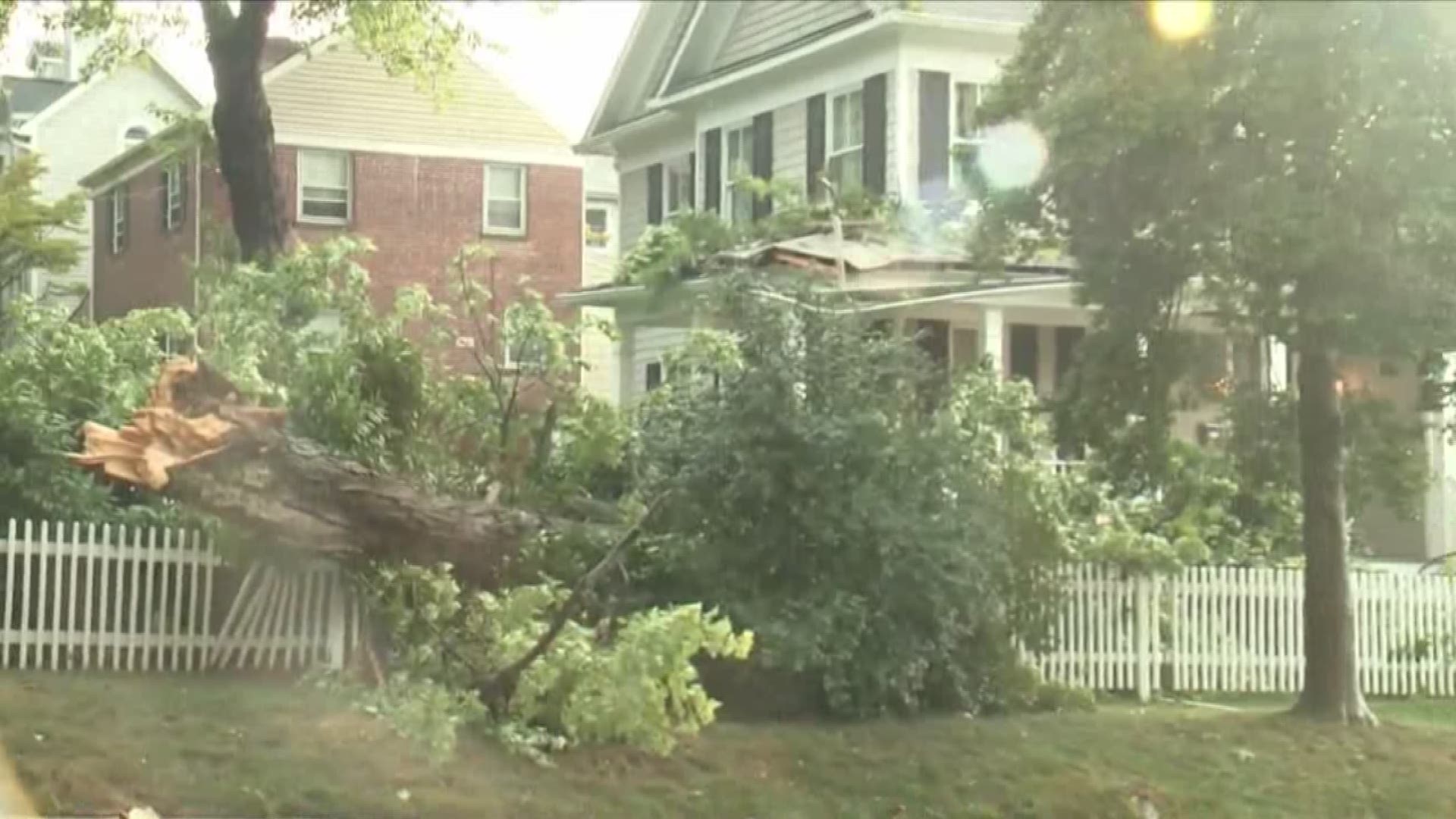 A tree fell onto a home in Bethesda during the severe weather on Aug. 20, 2019.