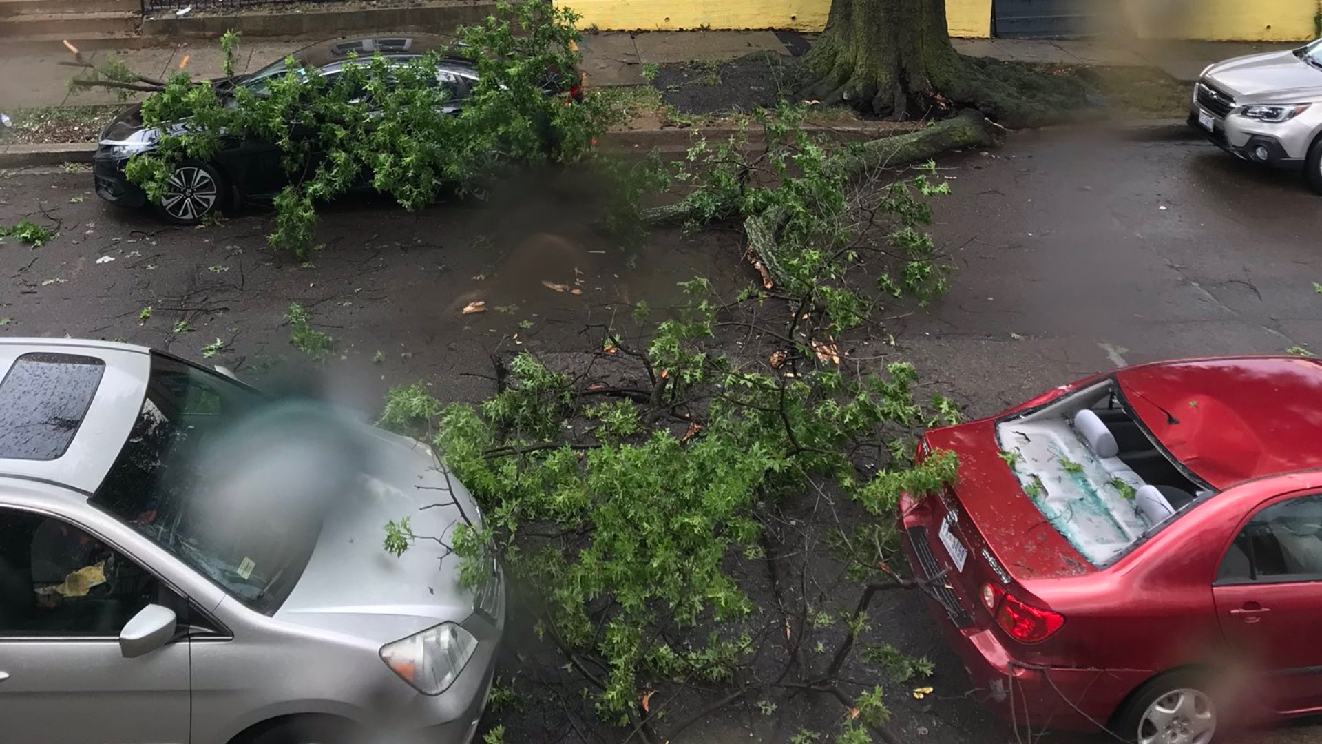 Severe storms cause flooding, power outages and downed trees | wusa9.com