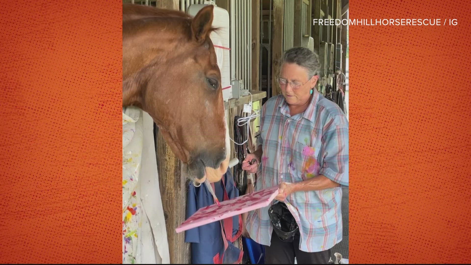 This Calvert County horse has a special talent, and he's using it for good!
