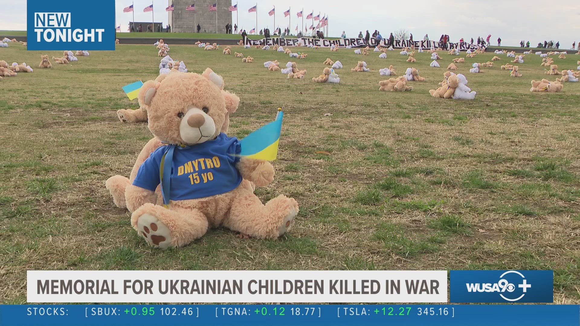 Each teddy bear on the National Mall represented a Ukrainian child's life