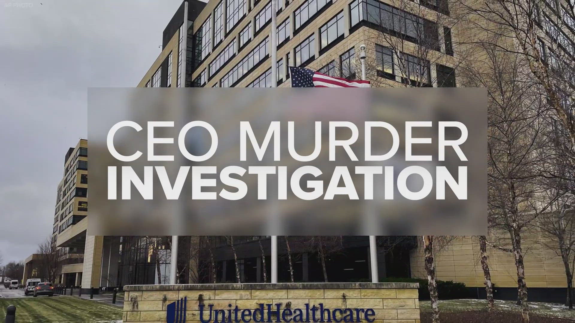 Luigi Mangione's arrest in Pennsylvania highlights his potential defense strategy as he faces extradition for the murder of the United Healthcare CEO in NYC.