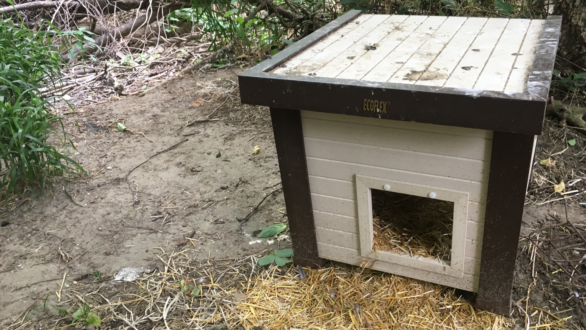 Feral cat colony gets new shelters after WUSA9 highlights deplorable