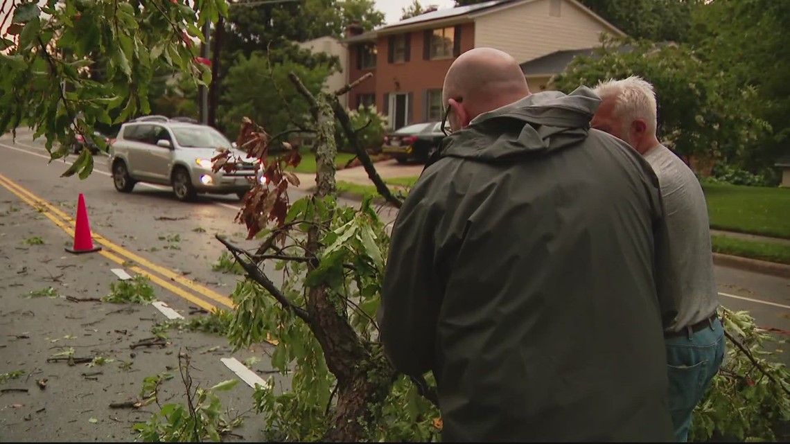 Neighbors come together to cleanup after storms in Fairfax County - Vimarsana News