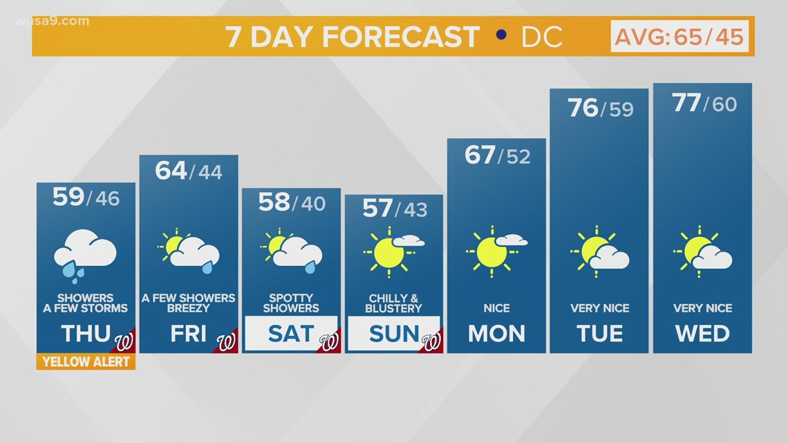 DC ticket amnesty program
