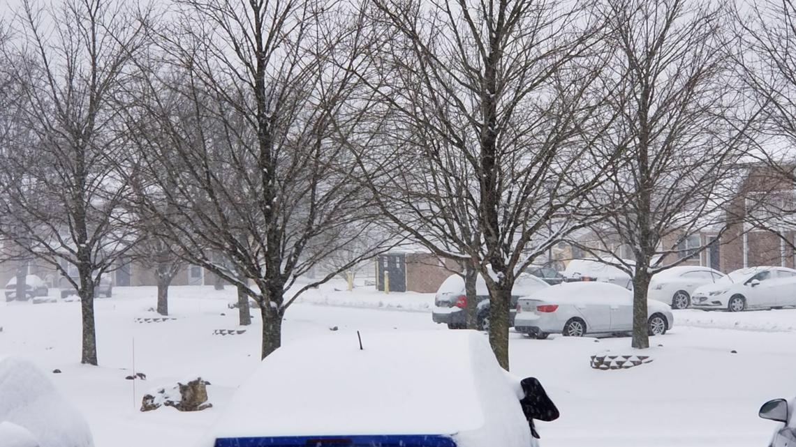 first snow in maryland 2020 , first snow DC 2020 photos