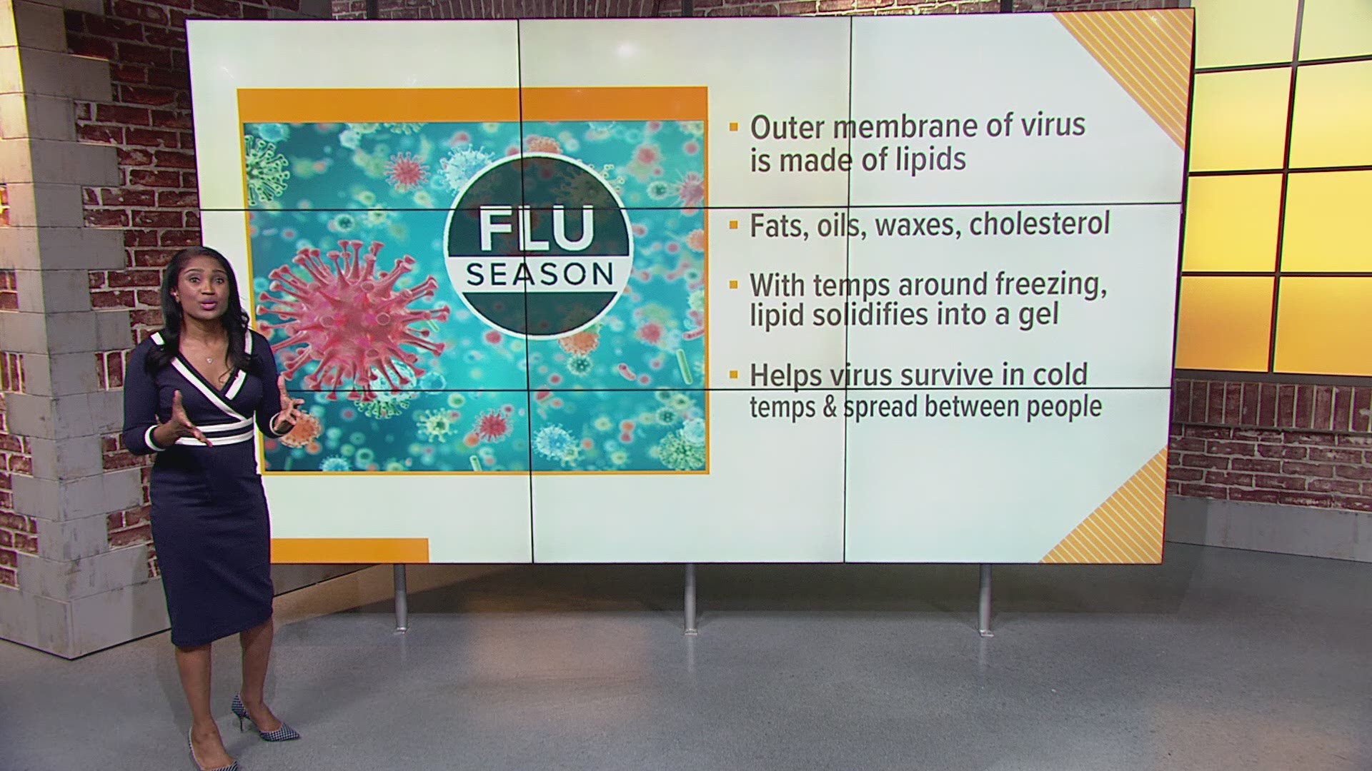 The flu virus 'likes' cold, dry weather.