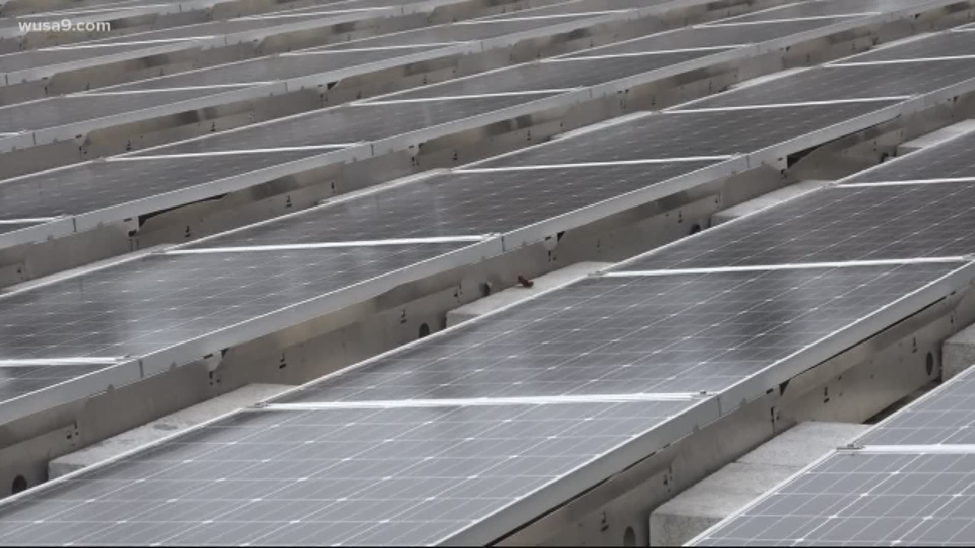 Arlington Public Schools signed a contract they say will save them millions of dollars. Five of their schools will be made over with solar panels.