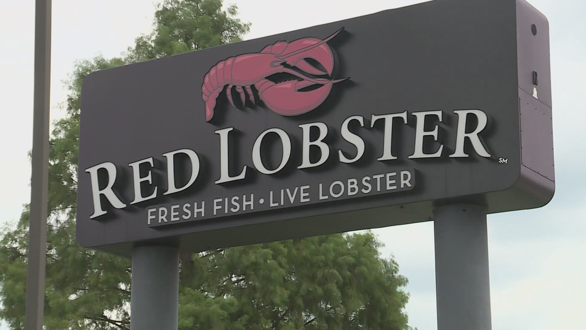 The company says it had to settle more than one billion dollars in debt. Red Lobster says it also plans to sell its business to its lenders.