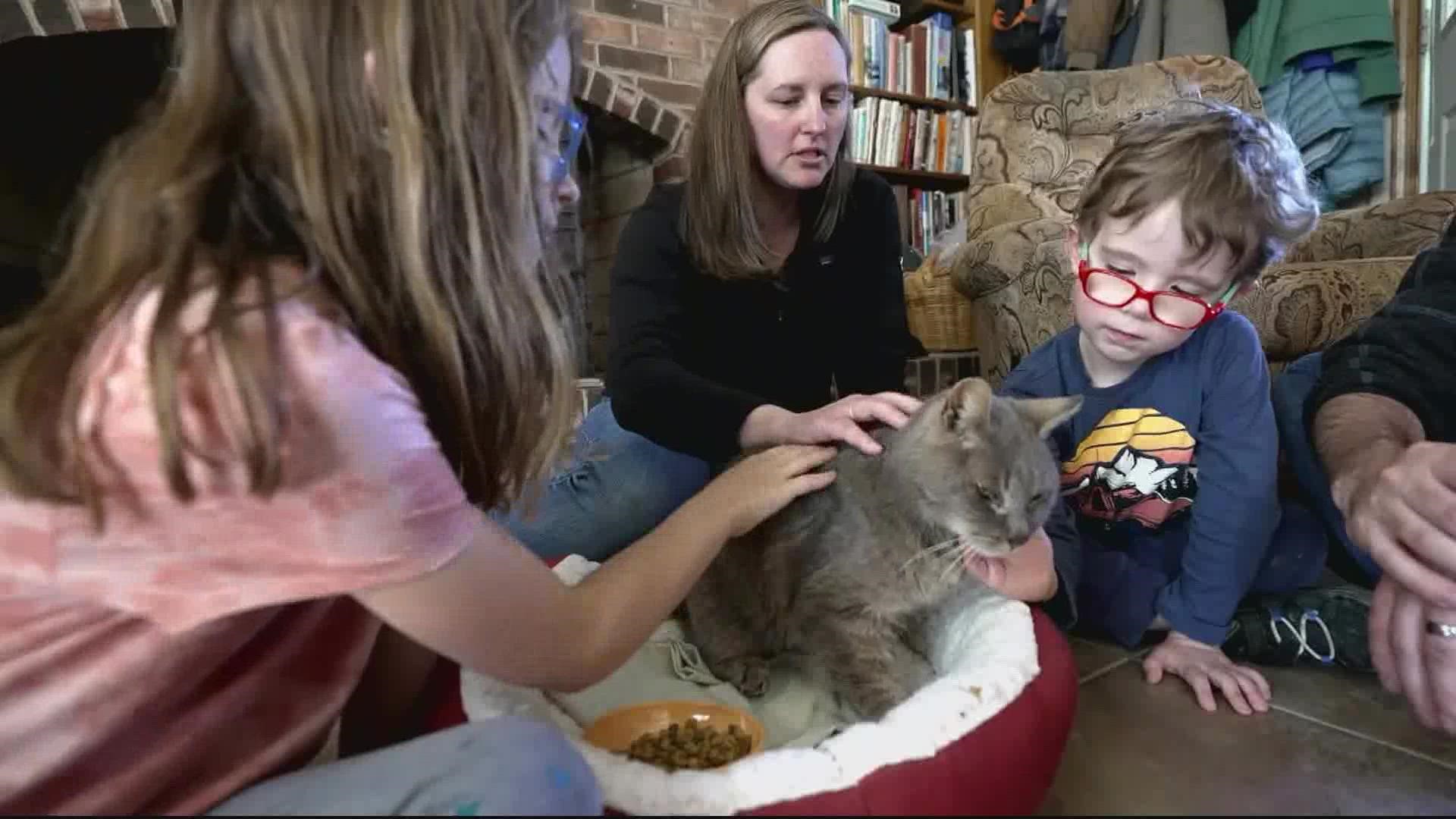 Ritz the cat was reunited with his pet parents, who all this time, kept his missing poster.