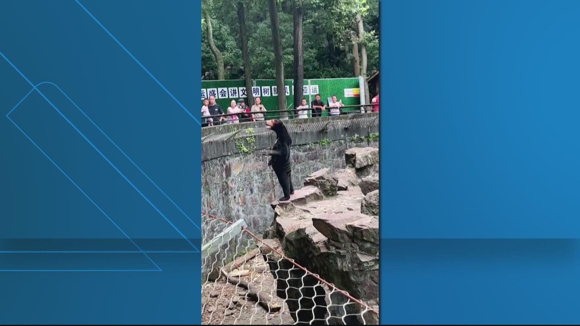 New reaction this evening to a viral debate over Malayan Sun Bears. Many reacted to the video claiming the bear was fake -- and it was a human dressed in a bear suit