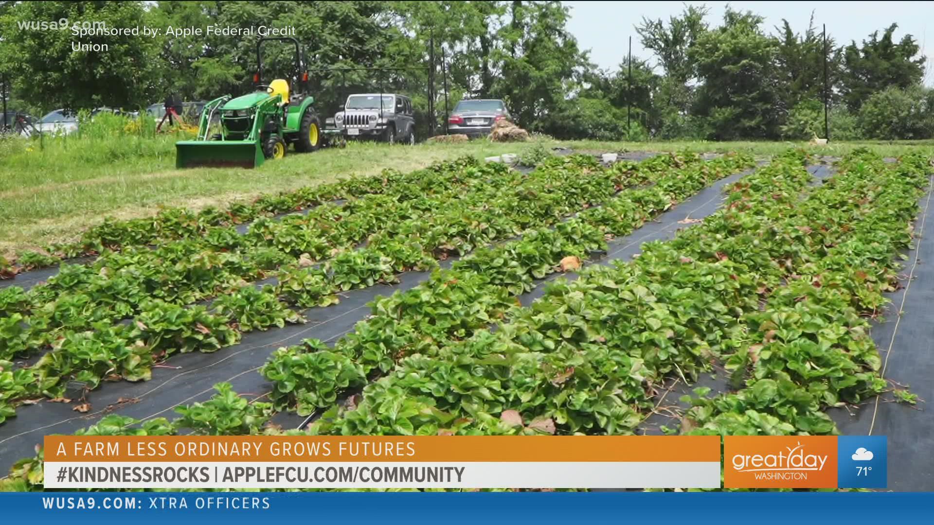 Sponsored by Apple Federal Credit Union. A Farm Less Ordinary grows futures. For more information visit AppleFCU.com/Community.