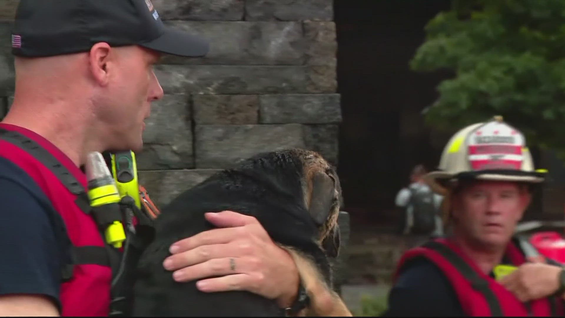 DC Councilmember Zachary Parker is questioning the time it took for first responders to enter the canine daycare center.