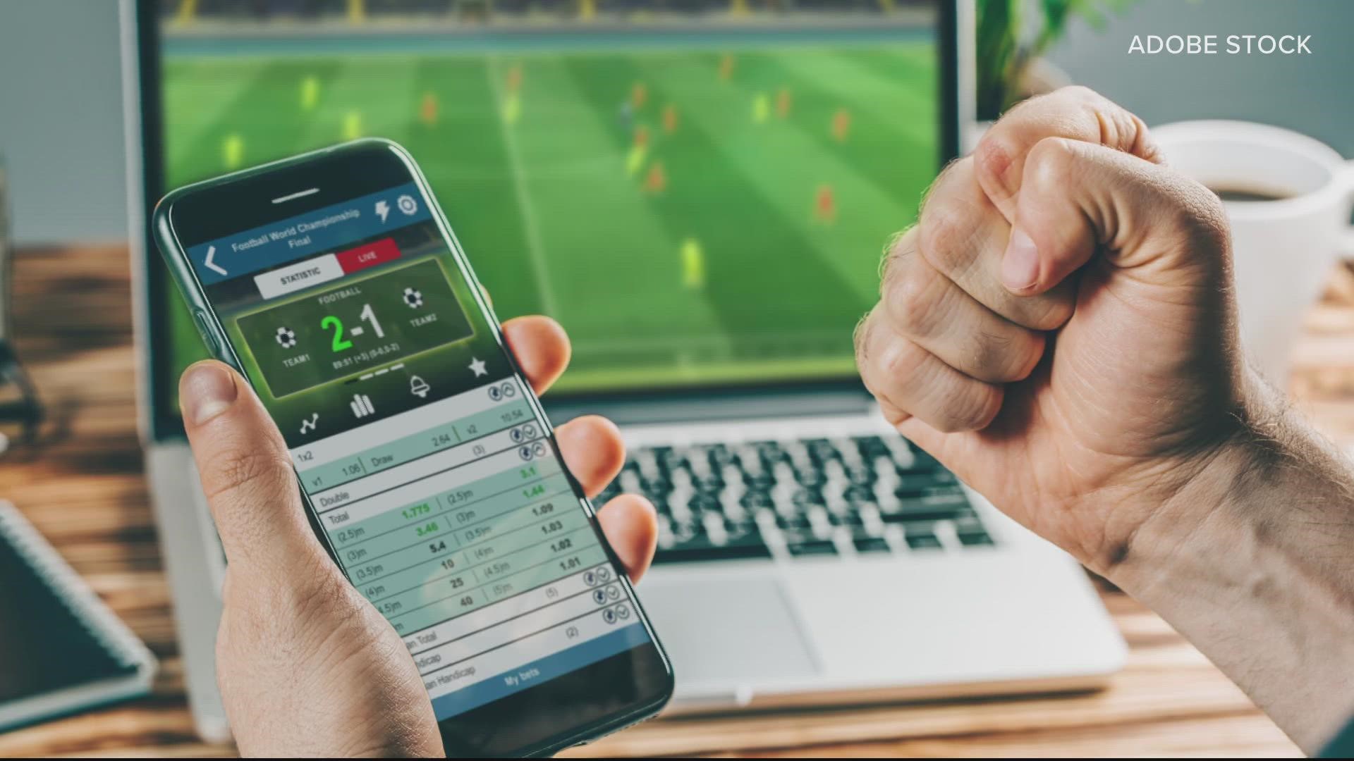 Our VERIFY team answers your questions on legality of online sports betting in Maryland.