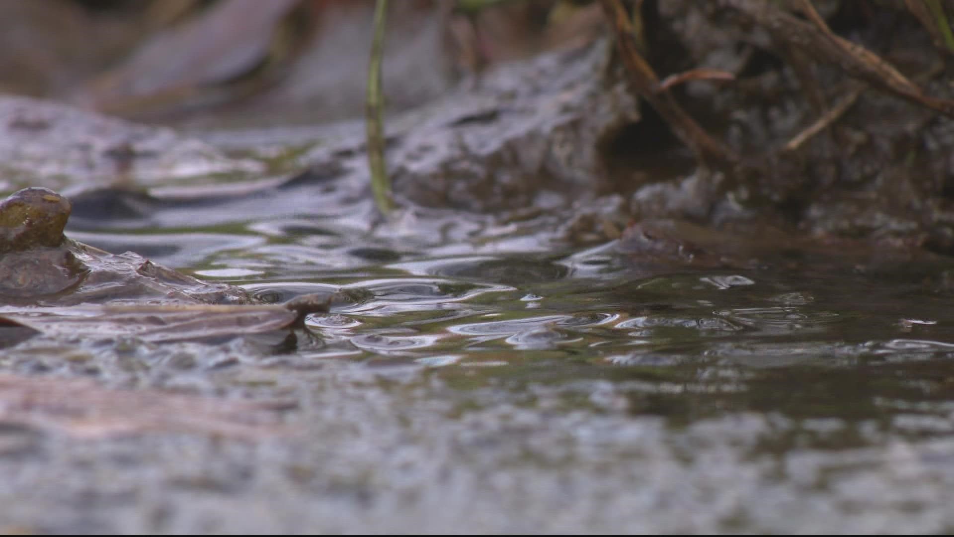 Some neighbors who live along the 4000 Block of Ely Place in Southeast are hoping to get some help with what they believe is an underground spring.