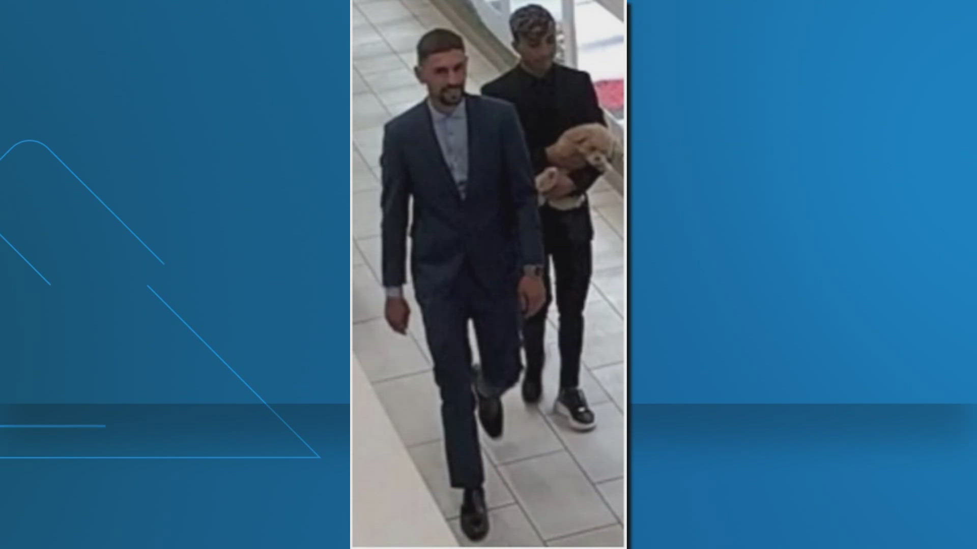 Police in Fairfax County are searching for two men who stole a puppy from a pet store last month.