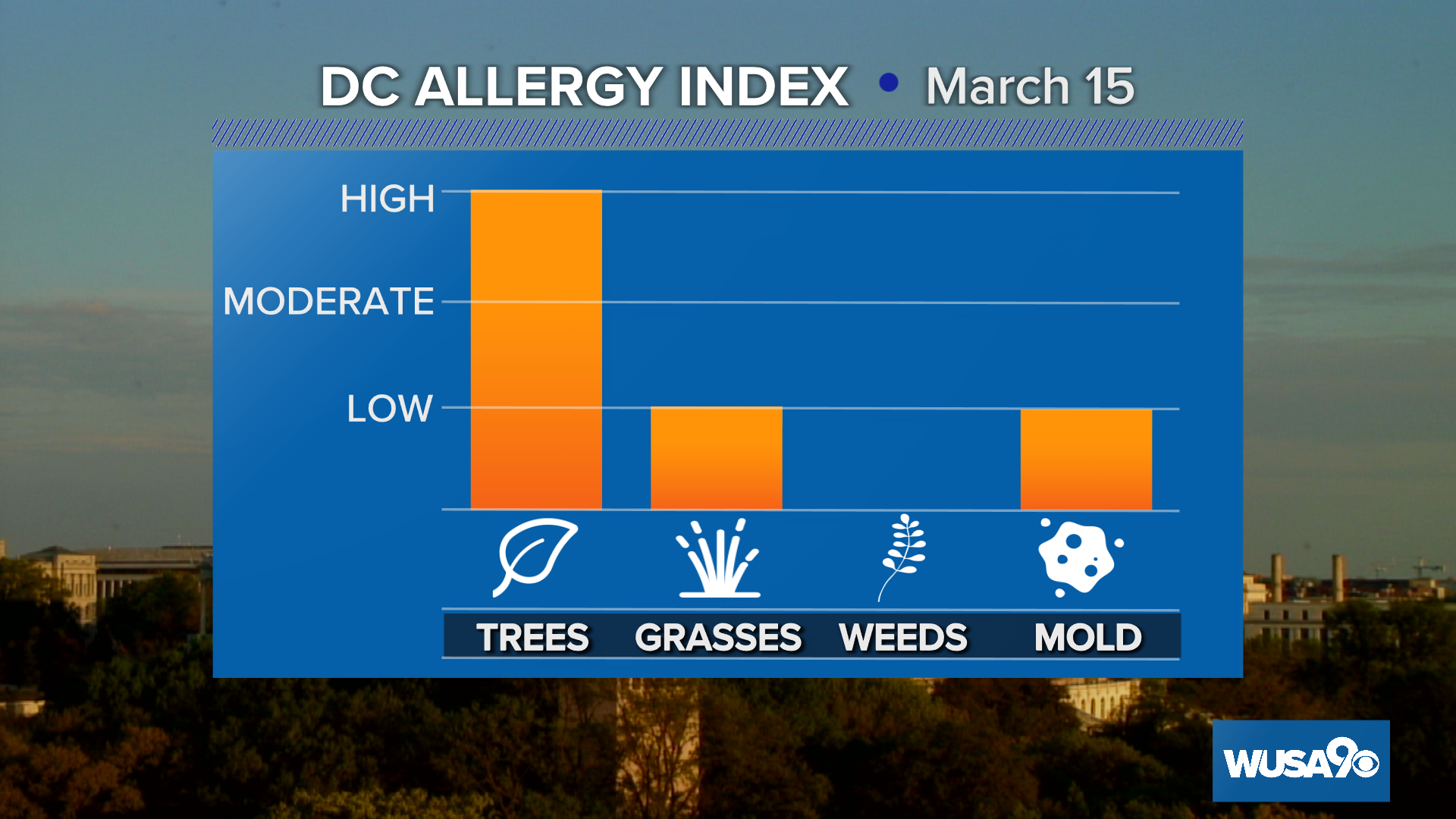 Tree pollen count is high in DC region, affecting allergies