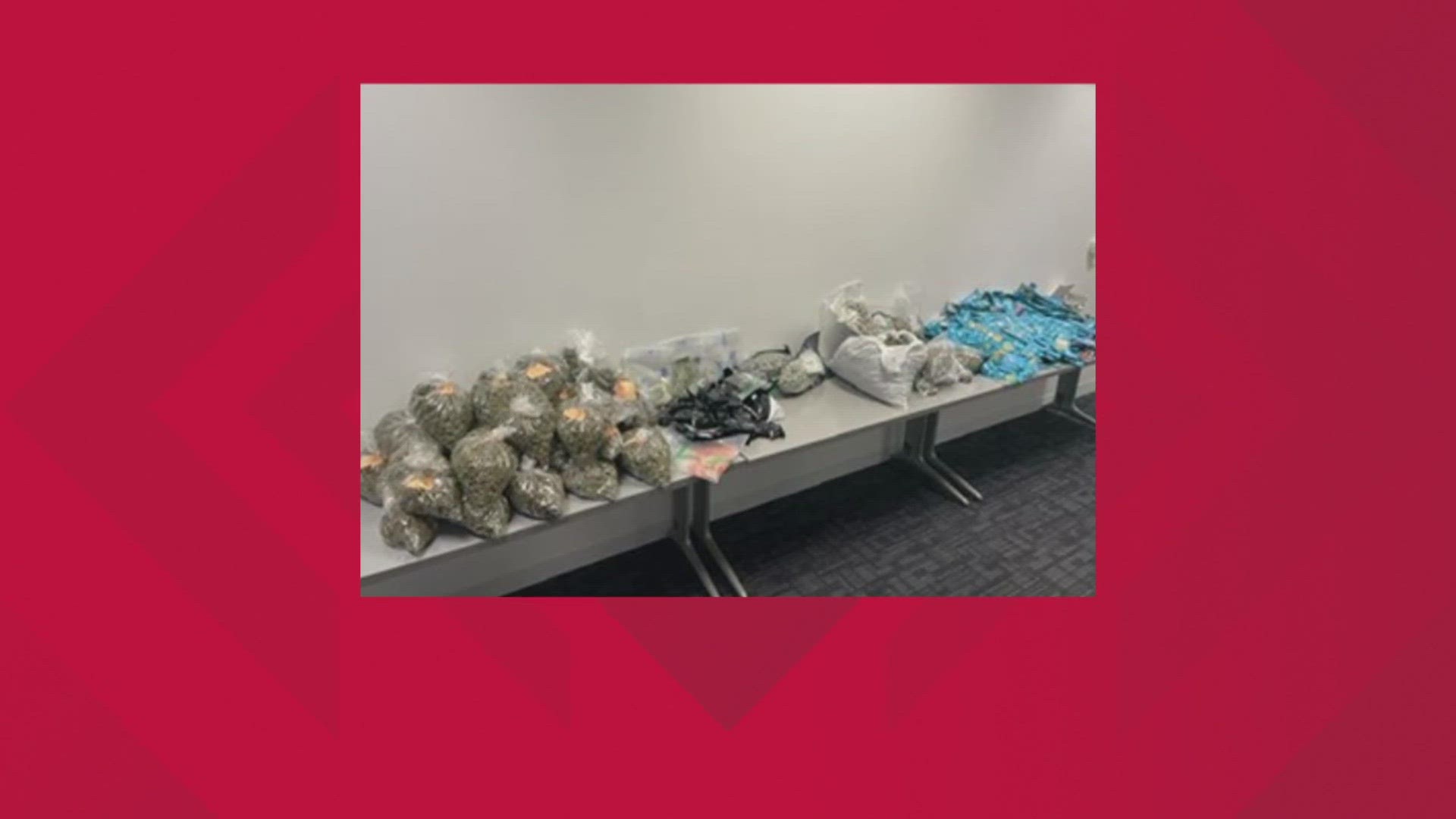 Police found 36 pounds of marijuana and other drugs after a series of search warrants.