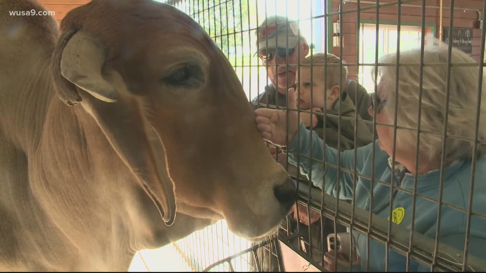 Connect with animals face-to-face in Frederick County, Maryland.