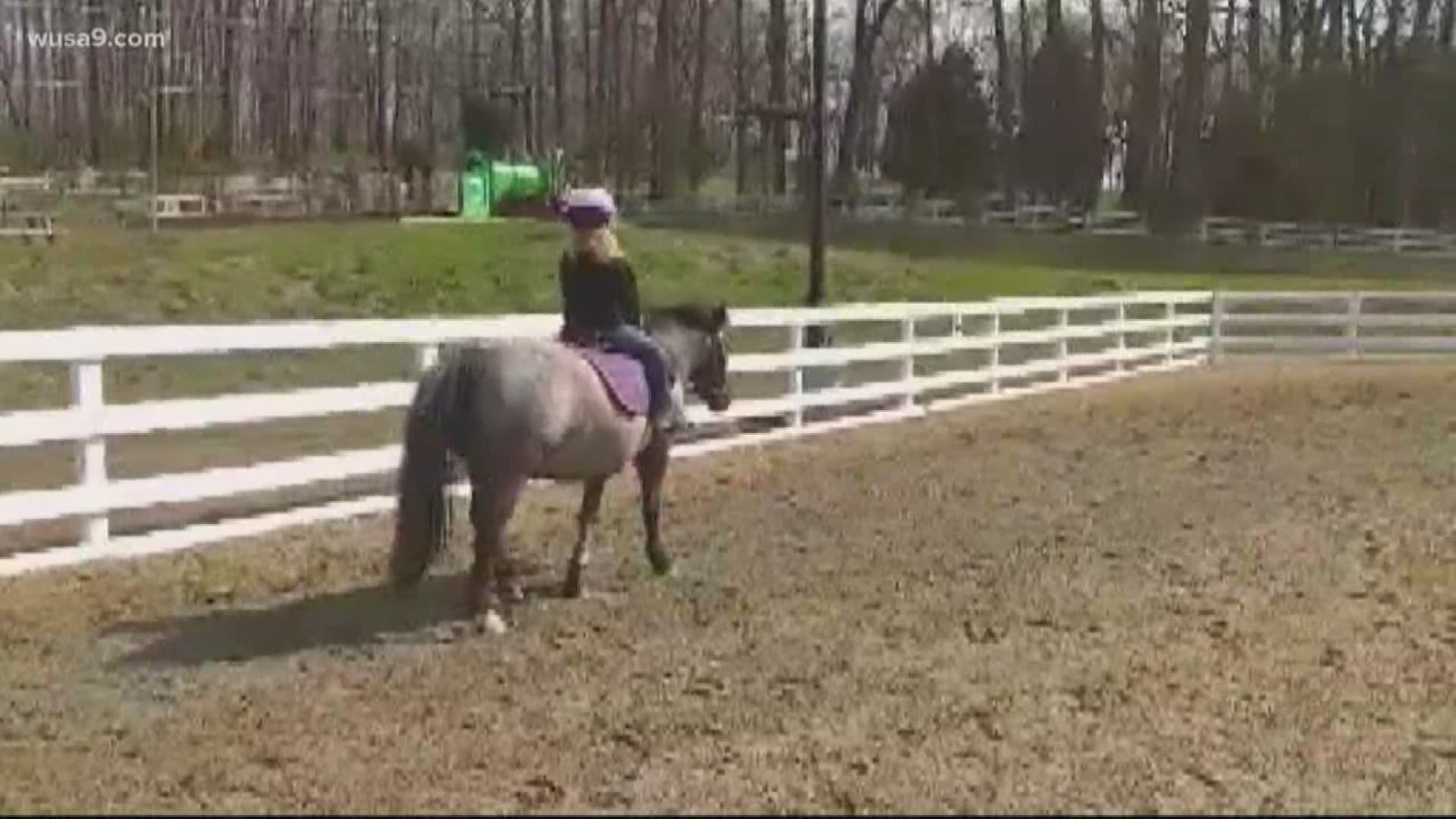 A therapeutic riding program wants to stay connected with the community and share the love of horses.