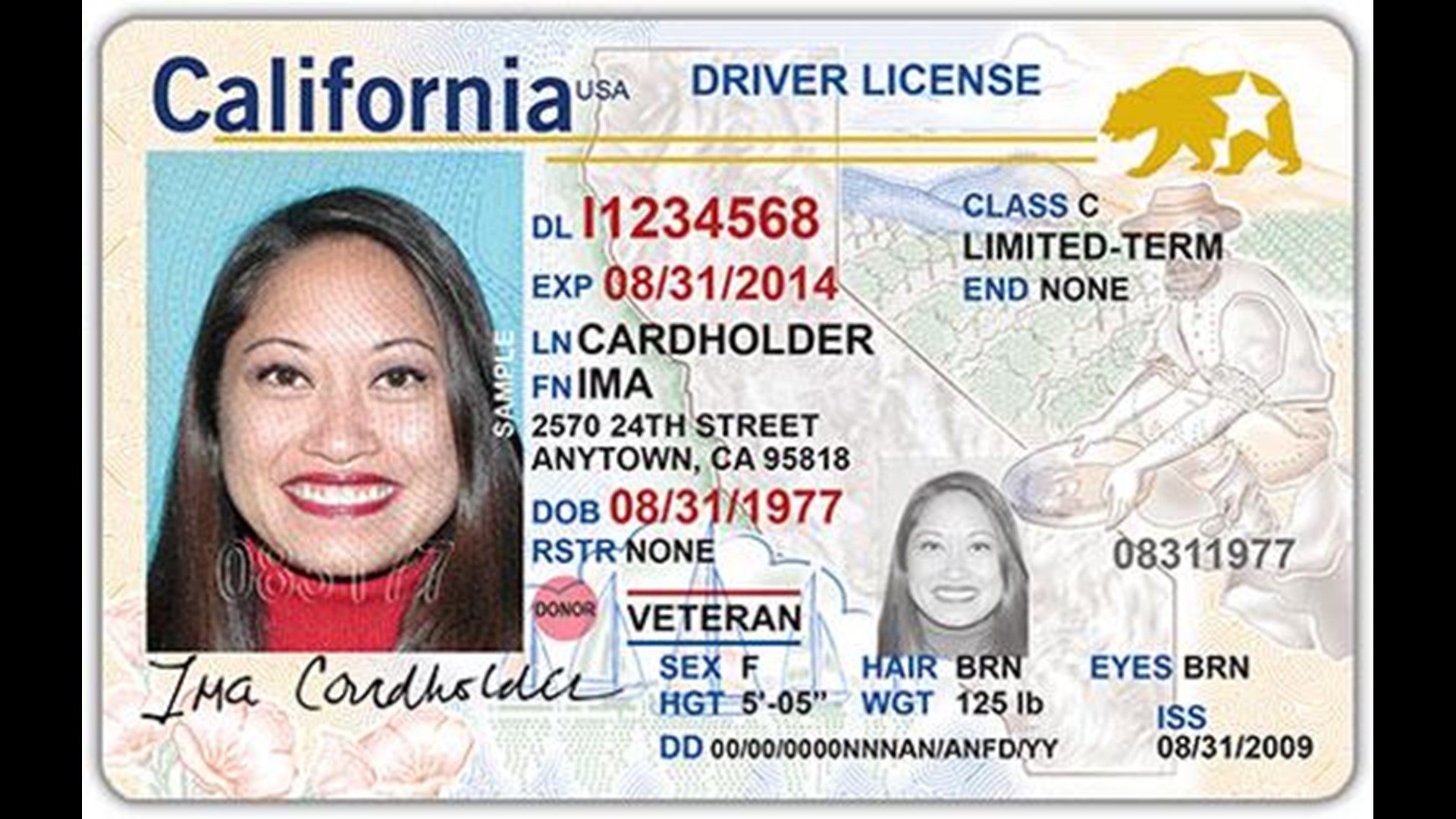 Do you need new REAL ID to vote in elections?