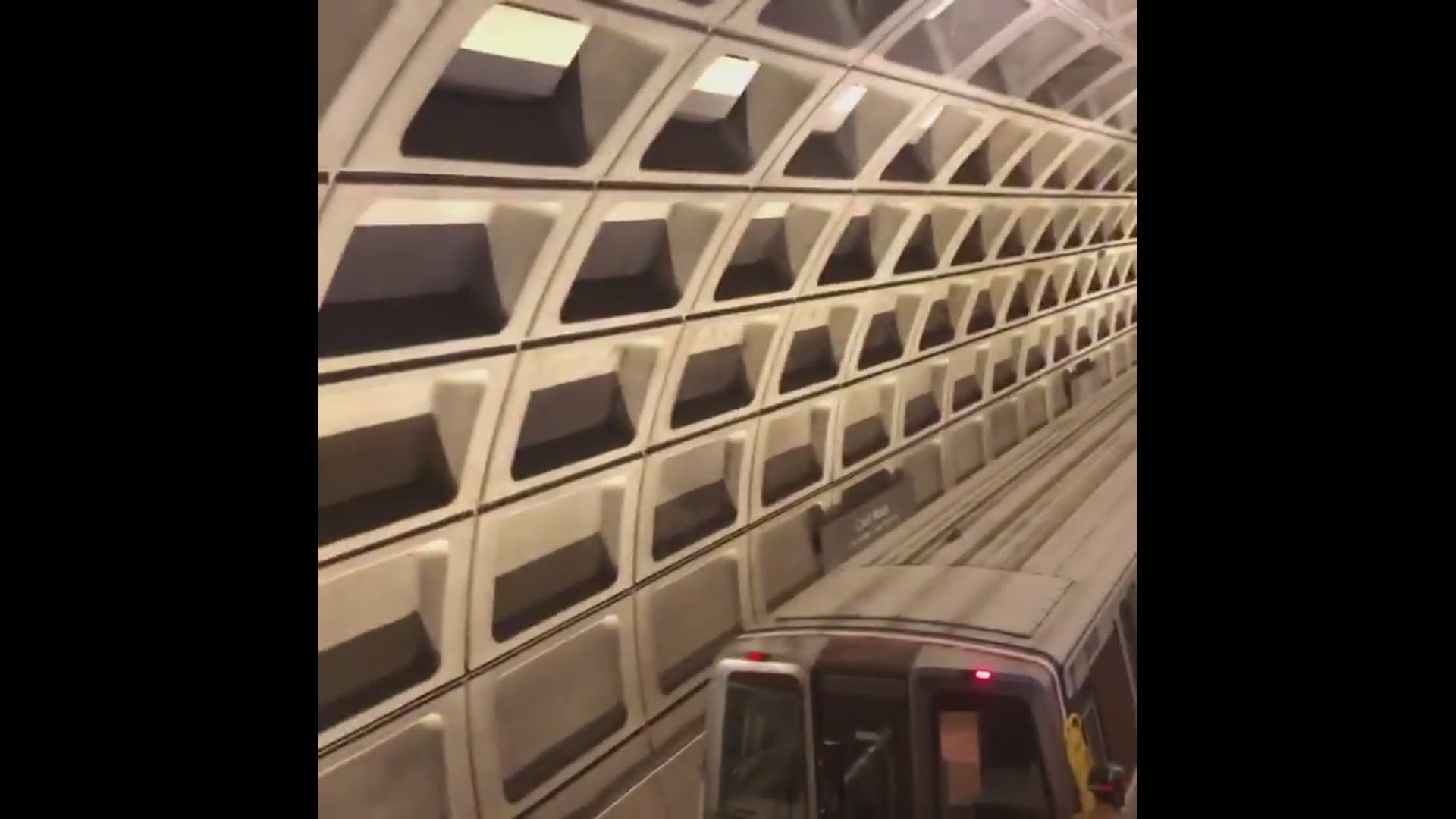 WMATA said the woman may have had a medical emergency before falling off the platform. (Video courtesy Twitter user @chrissydababy)