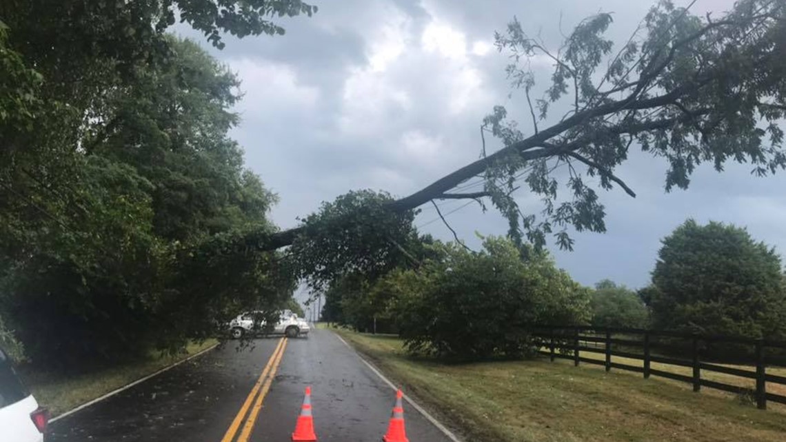 Reports of down trees, power outages, standing water in DMV | wusa9.com