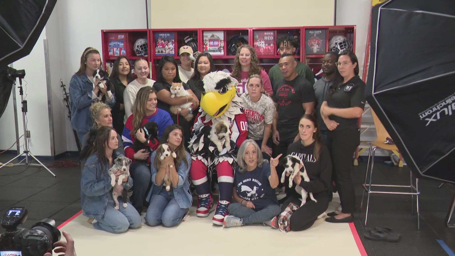 The calendar benefits both the Wolf Trap Animal Rescue in Fairfax County -- as well as the Monumental Sports and Entertainment Foundation.