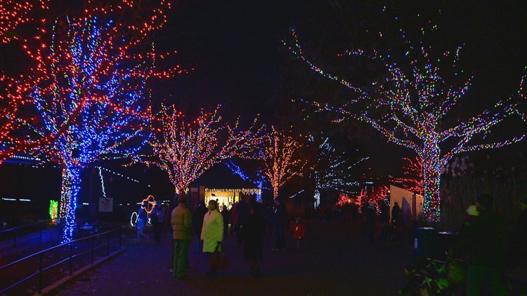 ZooLights returns to the National Zoo for the holiday season