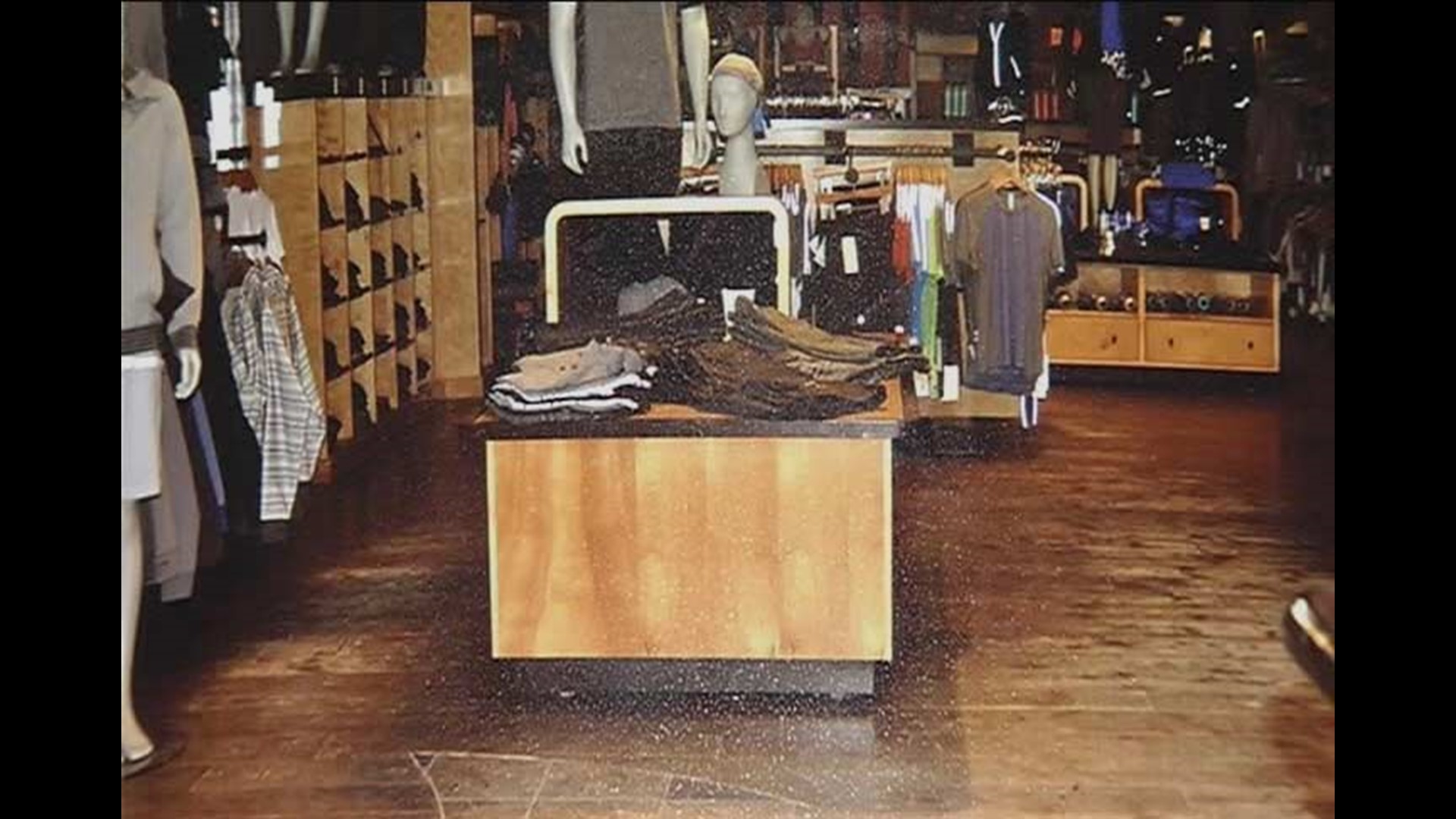 The Lululemon murder occurred on 2011, at a Lululemon store, when Brittany  Norwood, a store employee, murdered her coworker Jayna Murray. Murray  sustained 331 injuries from five weapons including a hammer, box