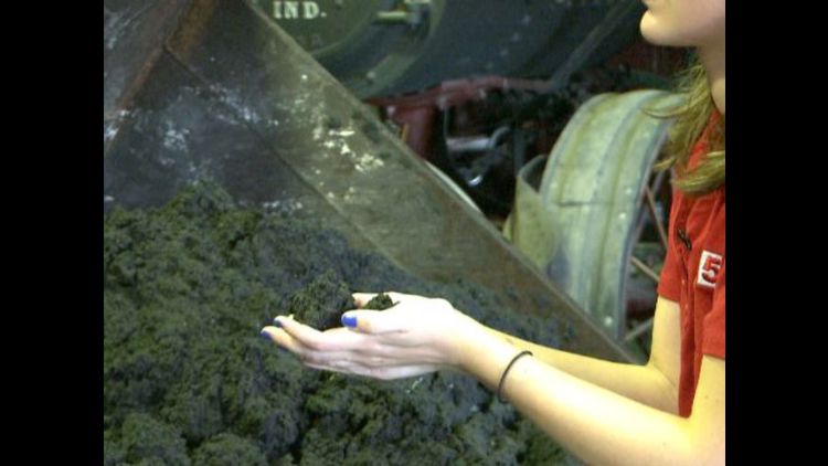 Human Poop With Corn What Your Poop Type And Color Says About You