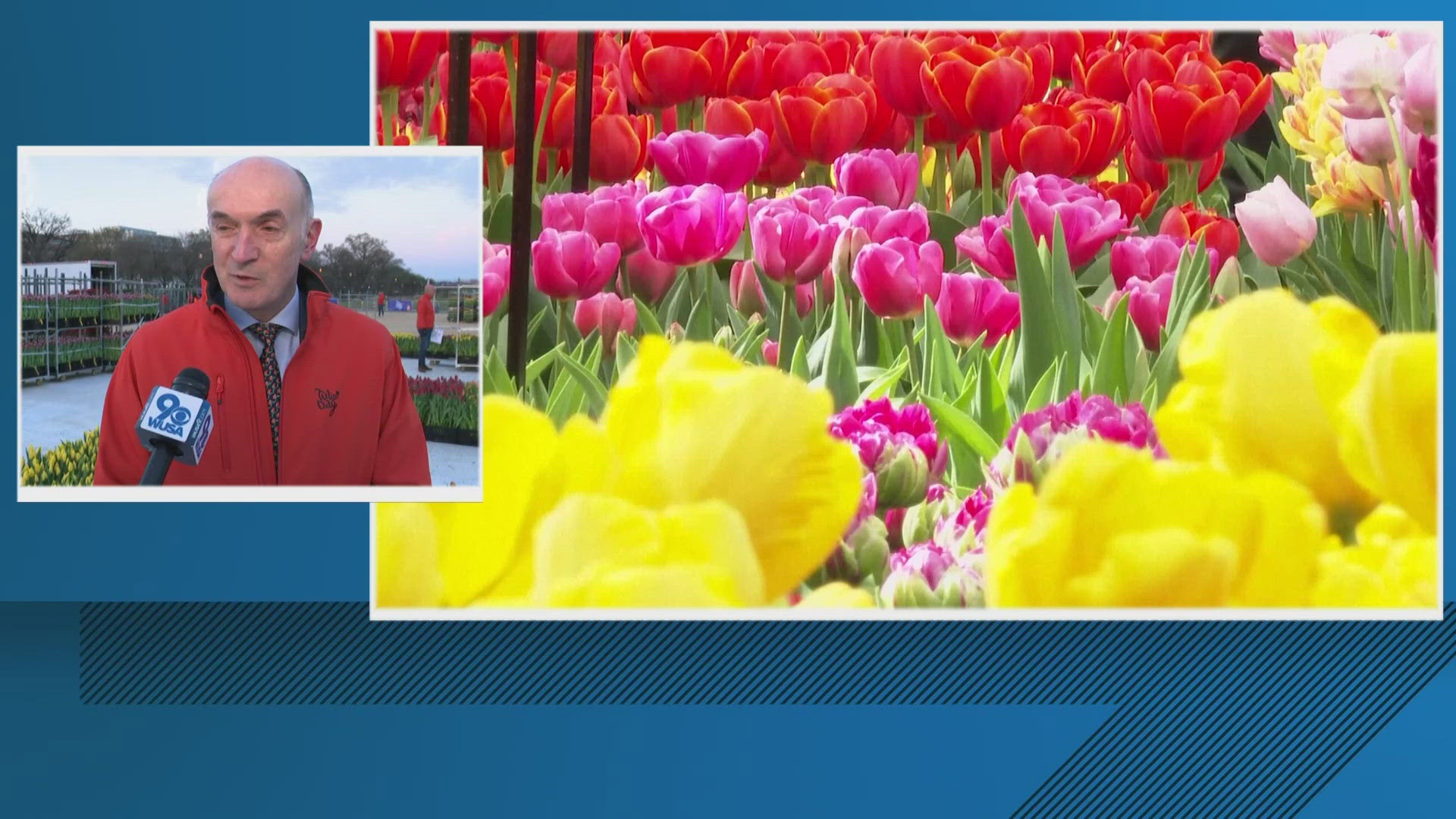 wusa9.com - Katrina Morgan - 2026 Oscars: Take a peek at what's inside the lavish gift bags for this year's nominees