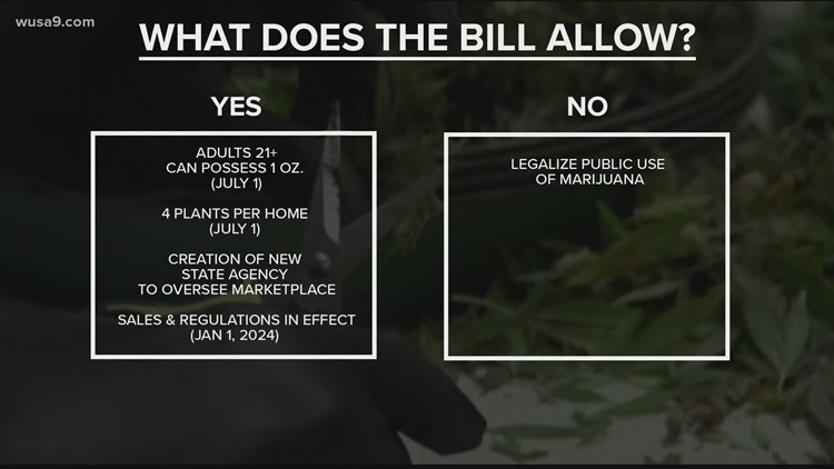 Virginia legalized recreational marijuana. Can you still get fired for using it?