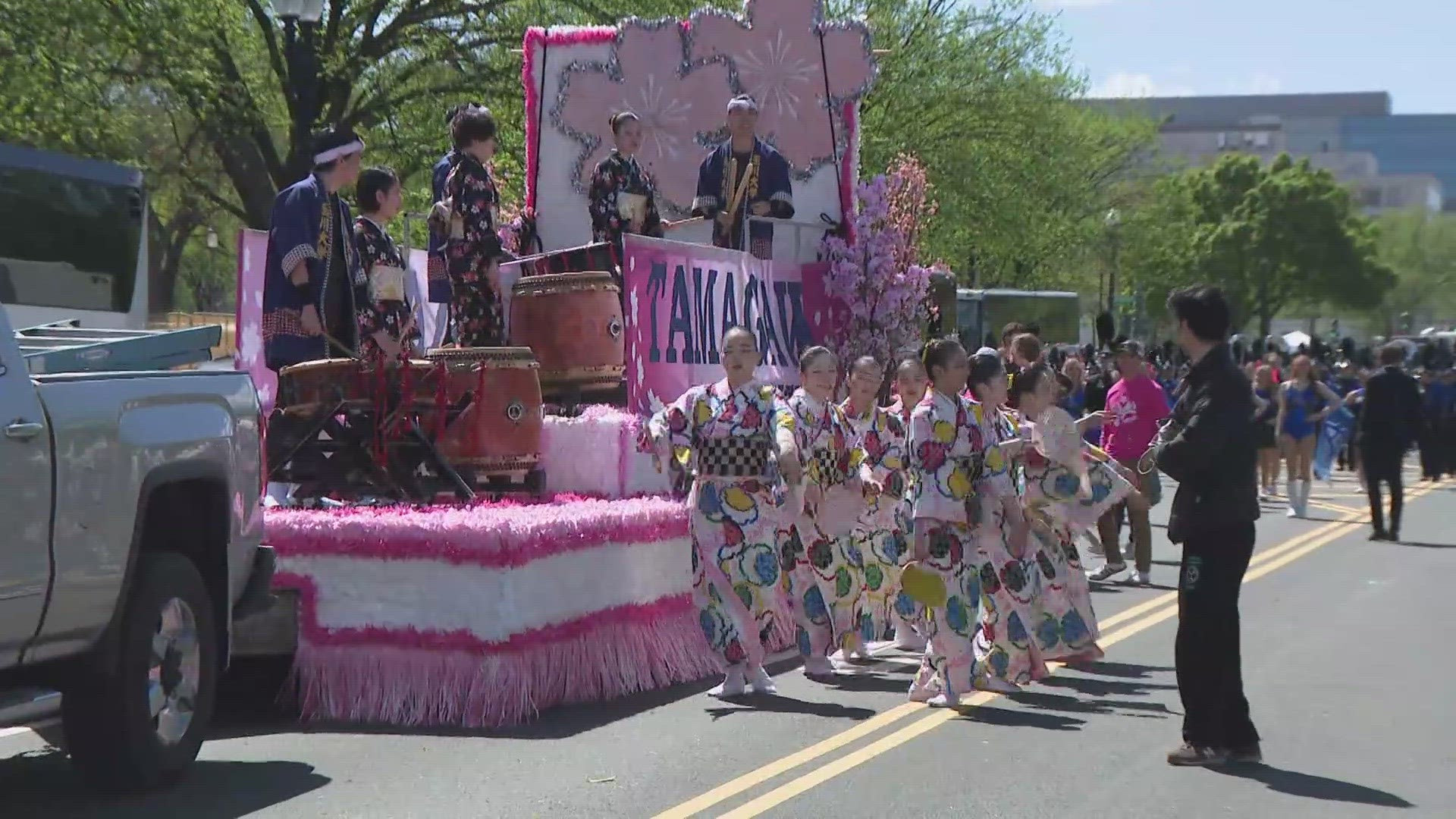 The two hour annual event is a highlight of the Cherry Blossom festival