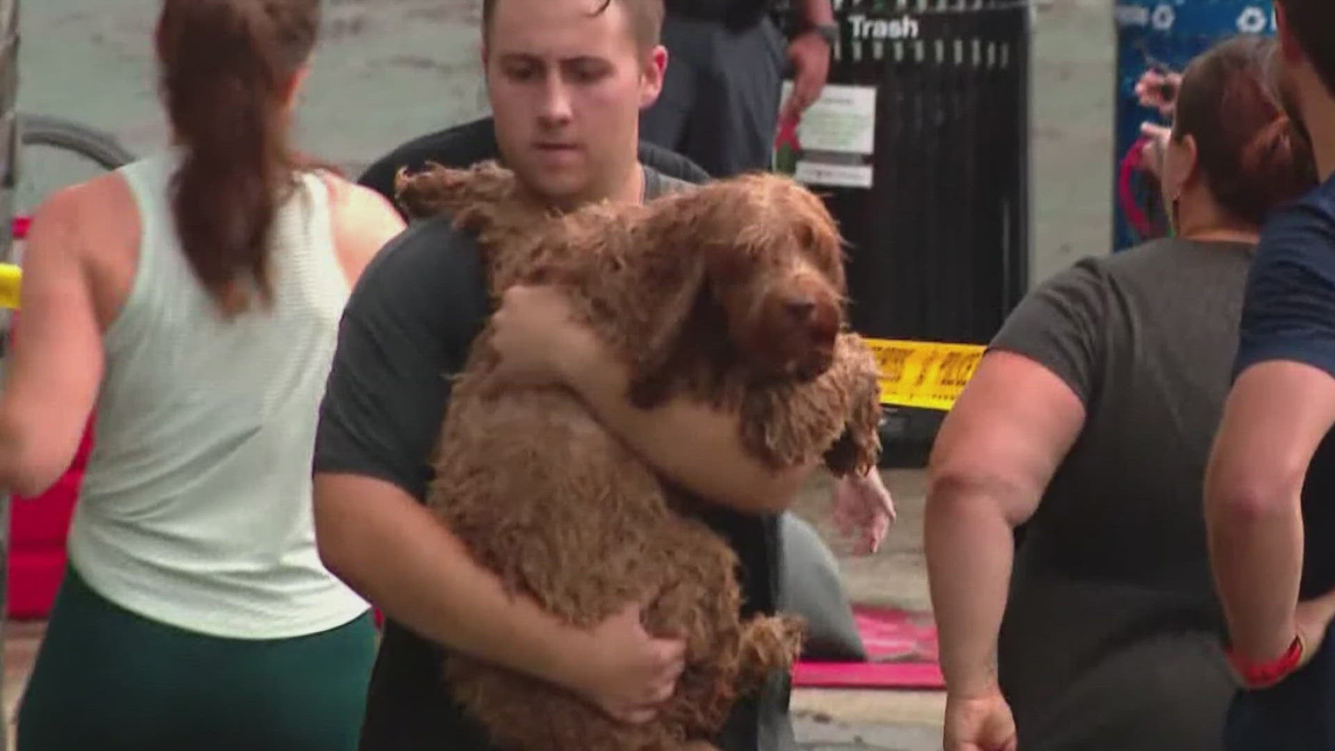 New developments in the deadly flooding at District Dogs pet daycare in Northeast that killed 10 dogs more than one year ago.