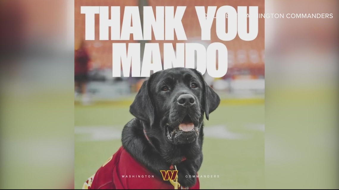 PHOTOS: Commanders team dog Mando earns a bigger job