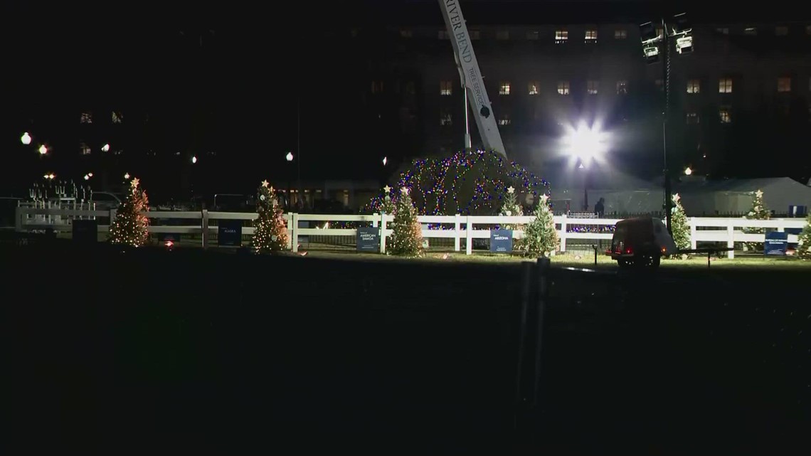 National Christmas Tree falls over days before lighting ceremony