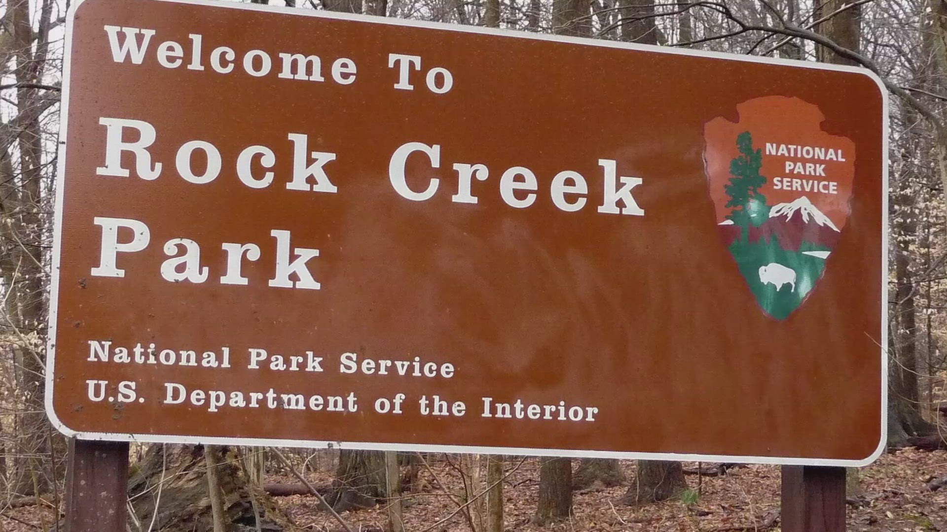 Del. Eleanor Holmes Norton wants to make Rock Creek Park a national park. Here's why.