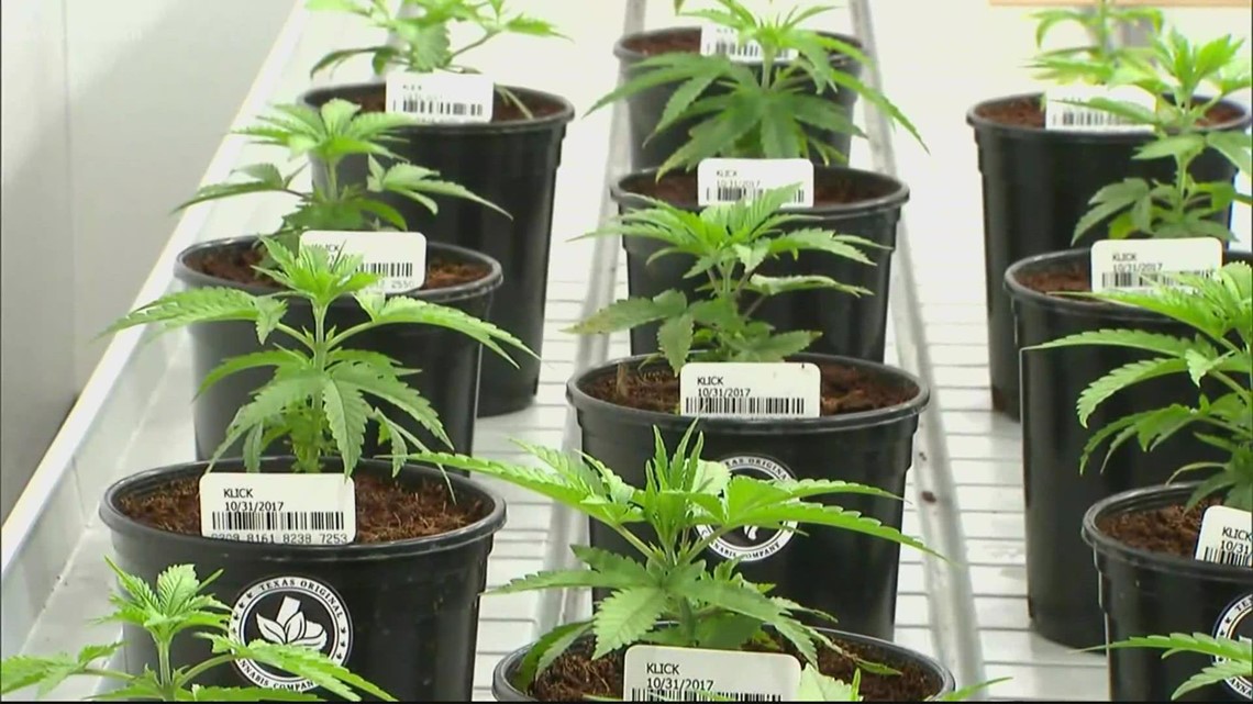Virginia budget proposal includes a new marijuana crime