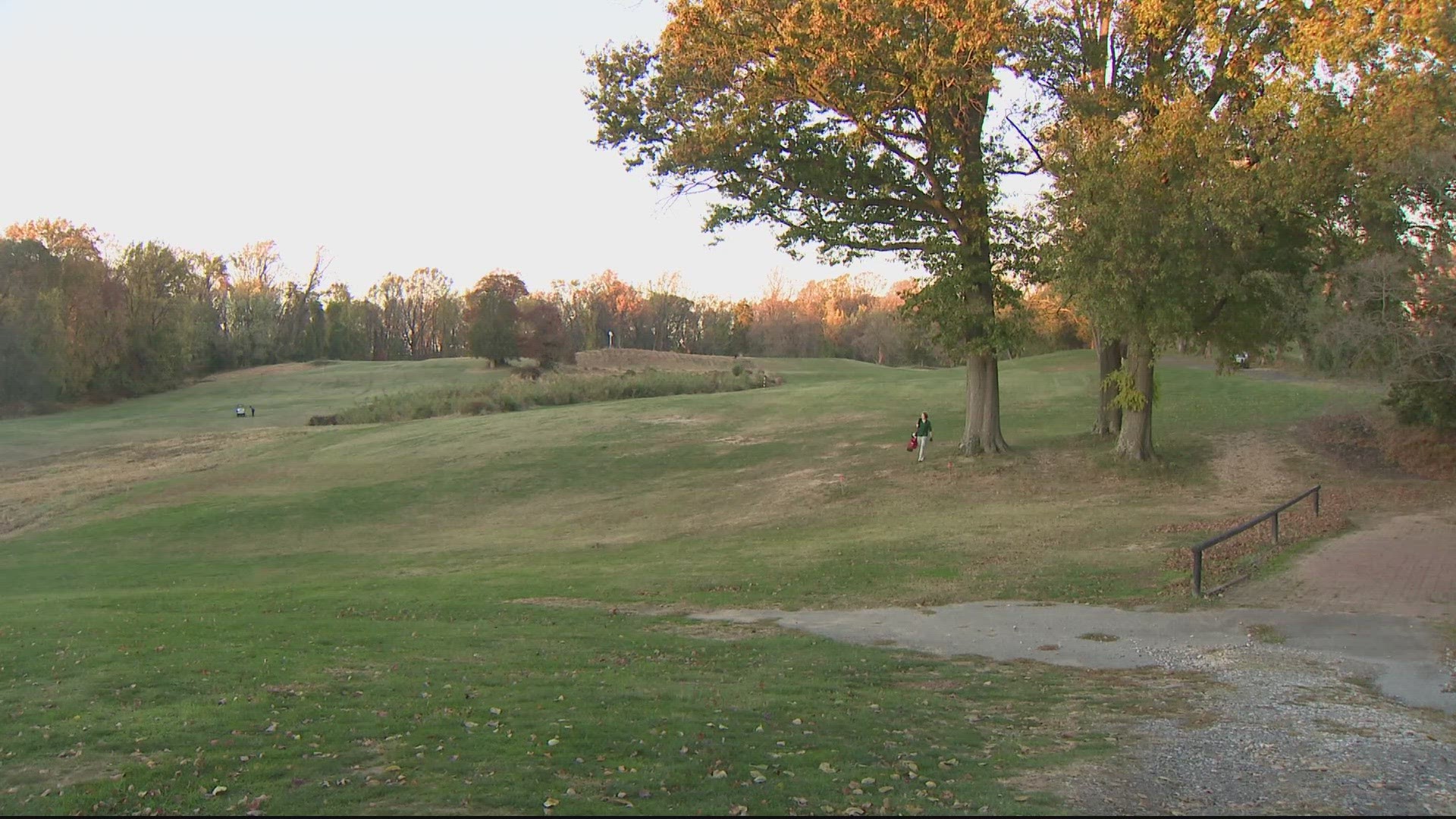 Many of the trees proposed for removal are dead, in poor health or invasive.