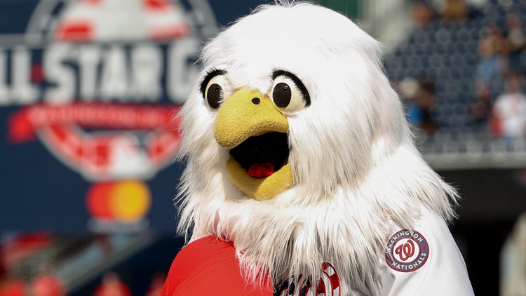 1,158 Washington Nationals Mascot Stock Photos, High-Res Pictures