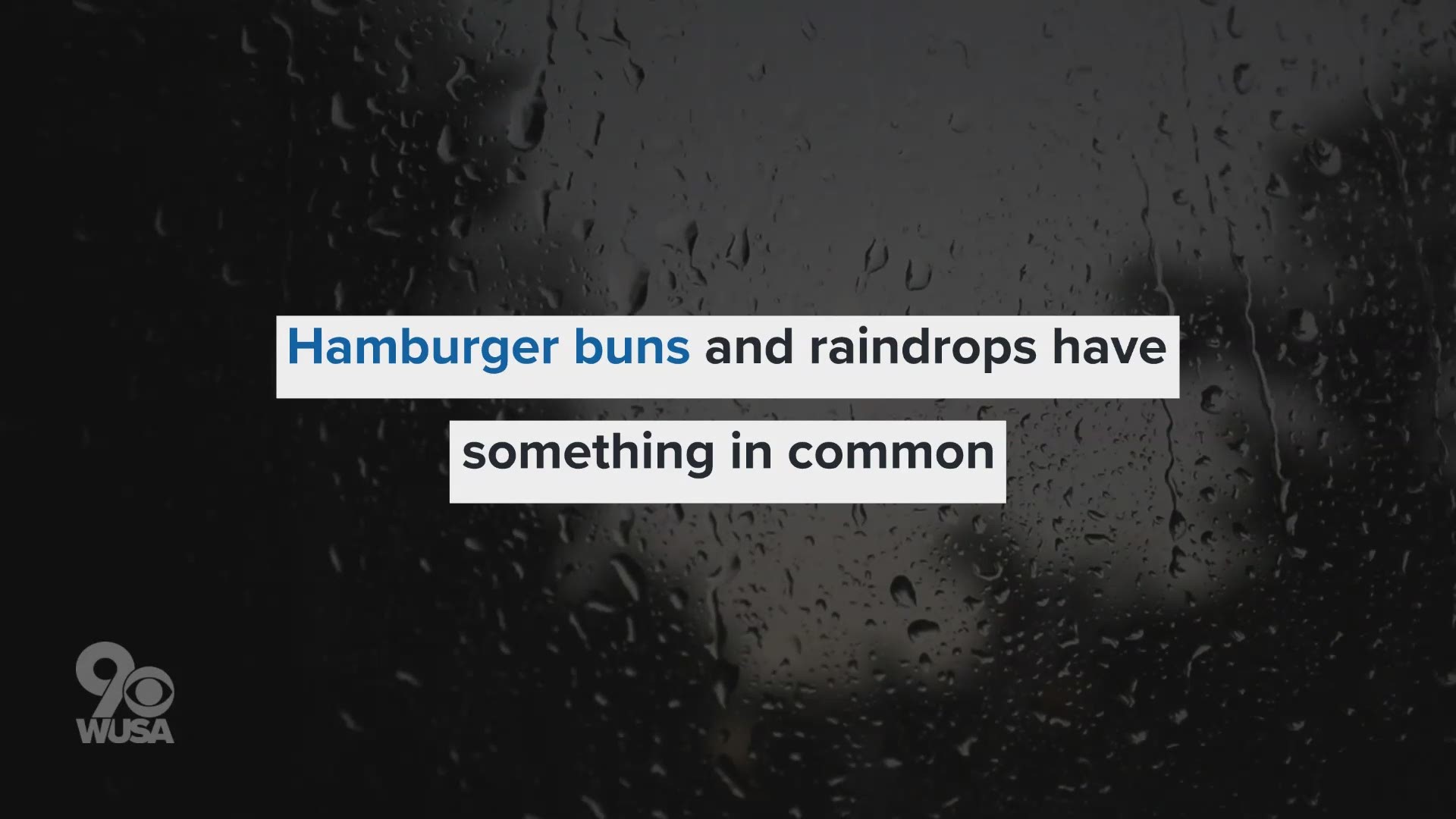 As raindrops fall they take on the shape of a hamburger bun.