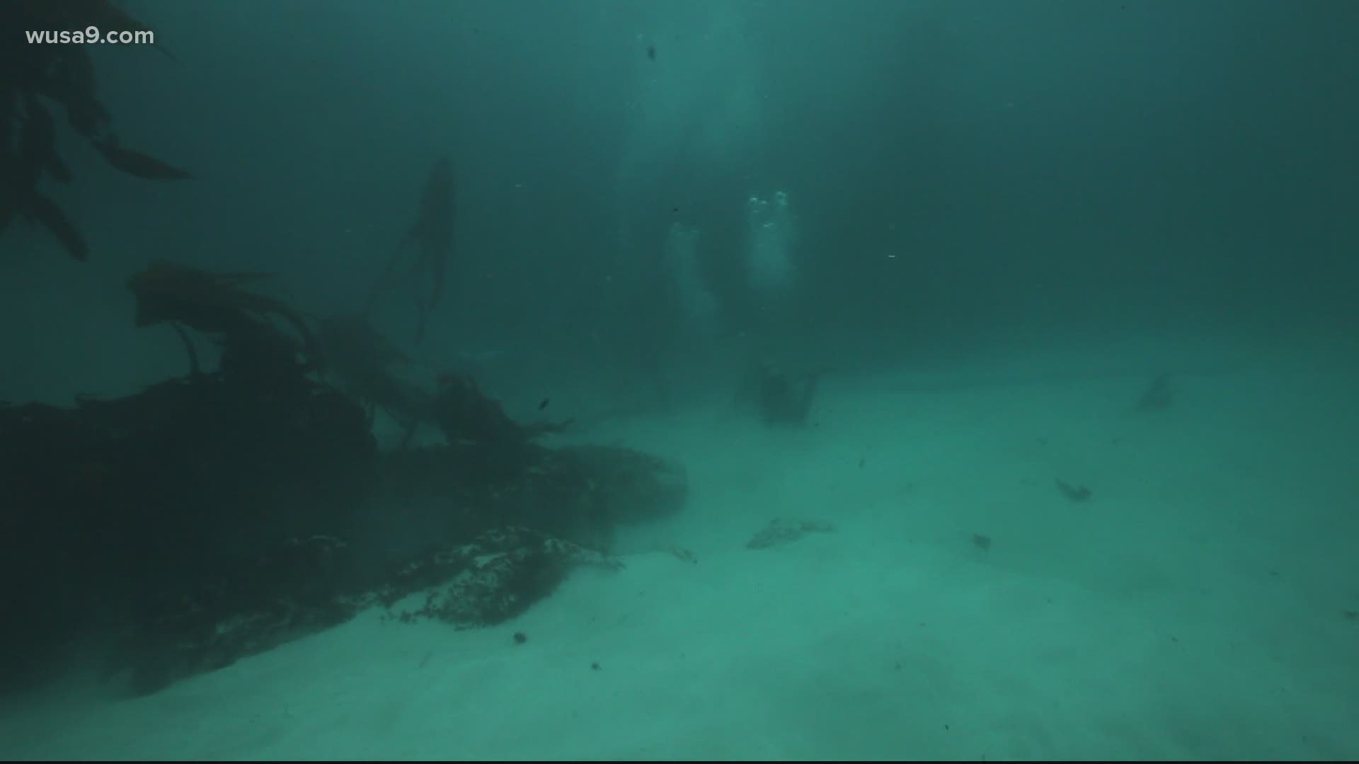 The Smithsonian’s National Museum of African American History and Culture "Slave Wrecks Project" identifies sites of wrecked slave ships around the world.