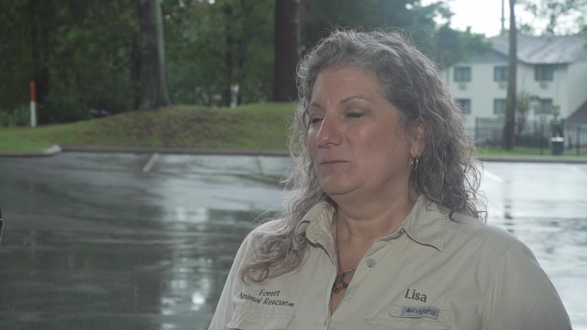 Forest Animal Rescue worker Lisa Stoner explains why zebras can be very aggressive animals.