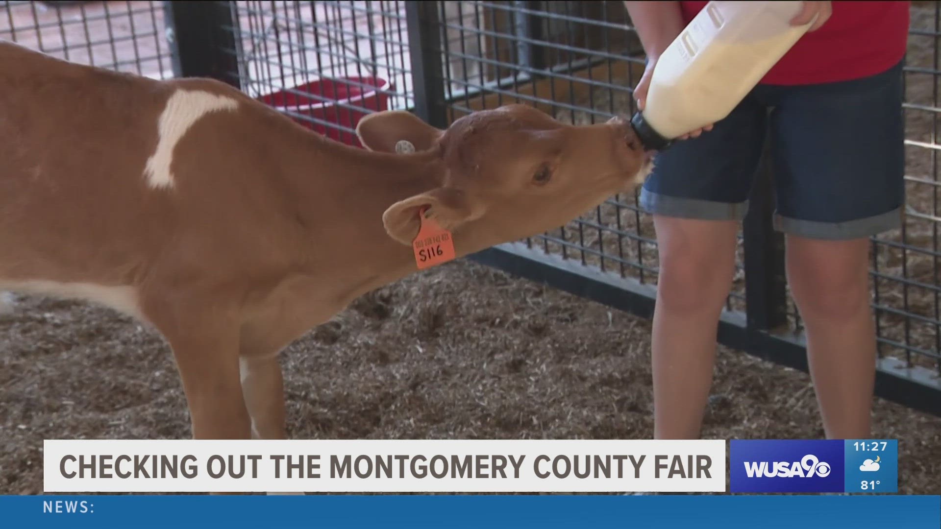 It's the kickoff weekend for the 74th annual Montgomery County Agricultural Fair, which runs through Saturday, August 19th.