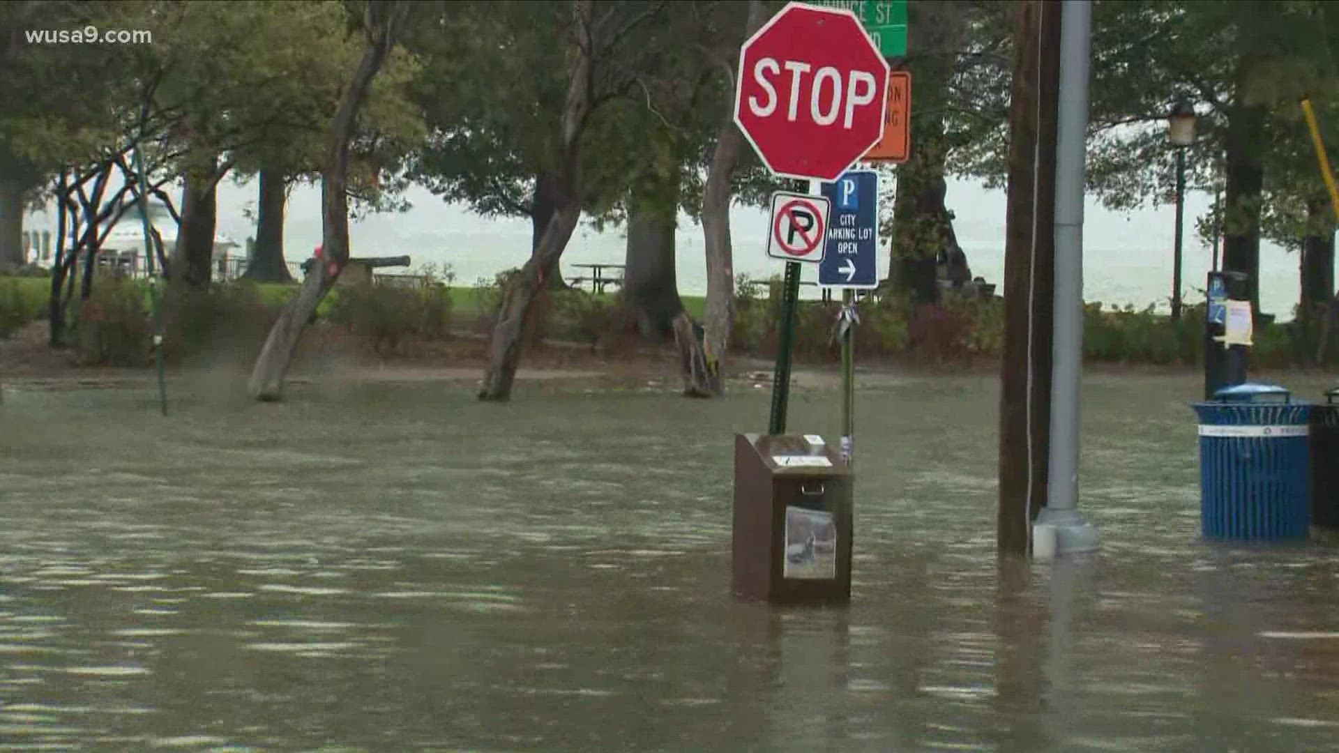 Flood Warnings have been issued for parts of the DMV region Friday. Here's the latest