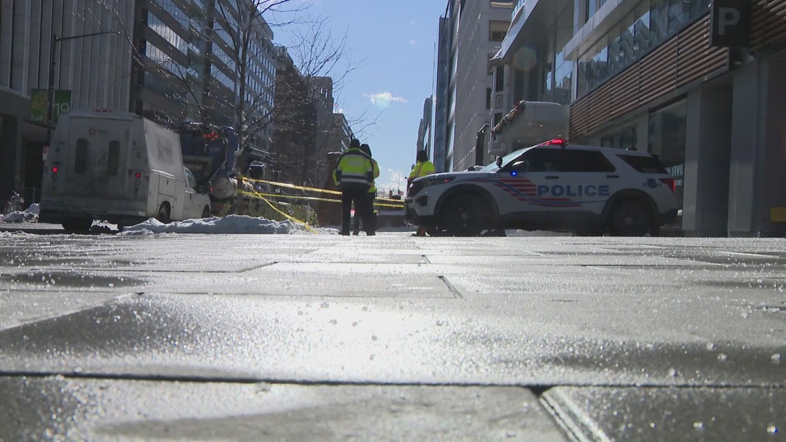 Dog safety in cold weather