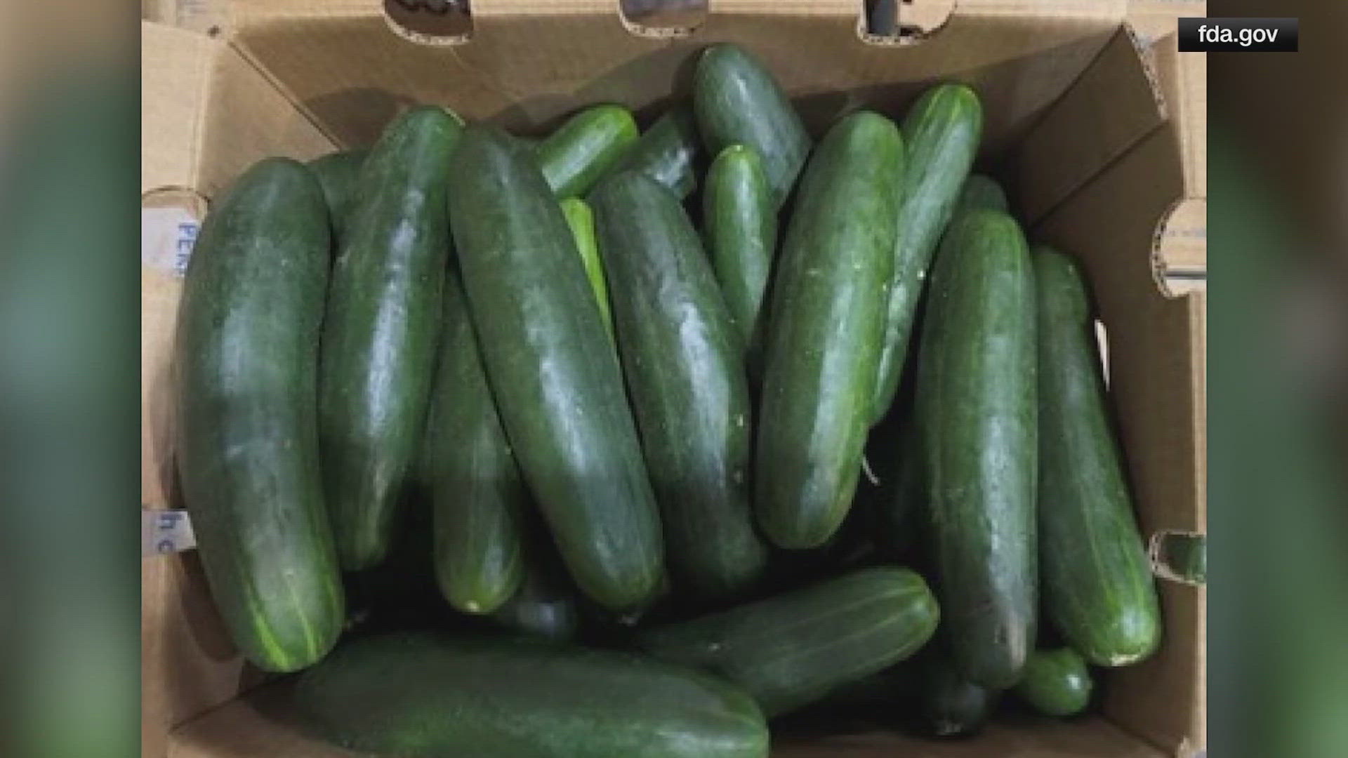 Cucumbers Recalled In 14 States Due To Salmonella Risk | Wusa9.com