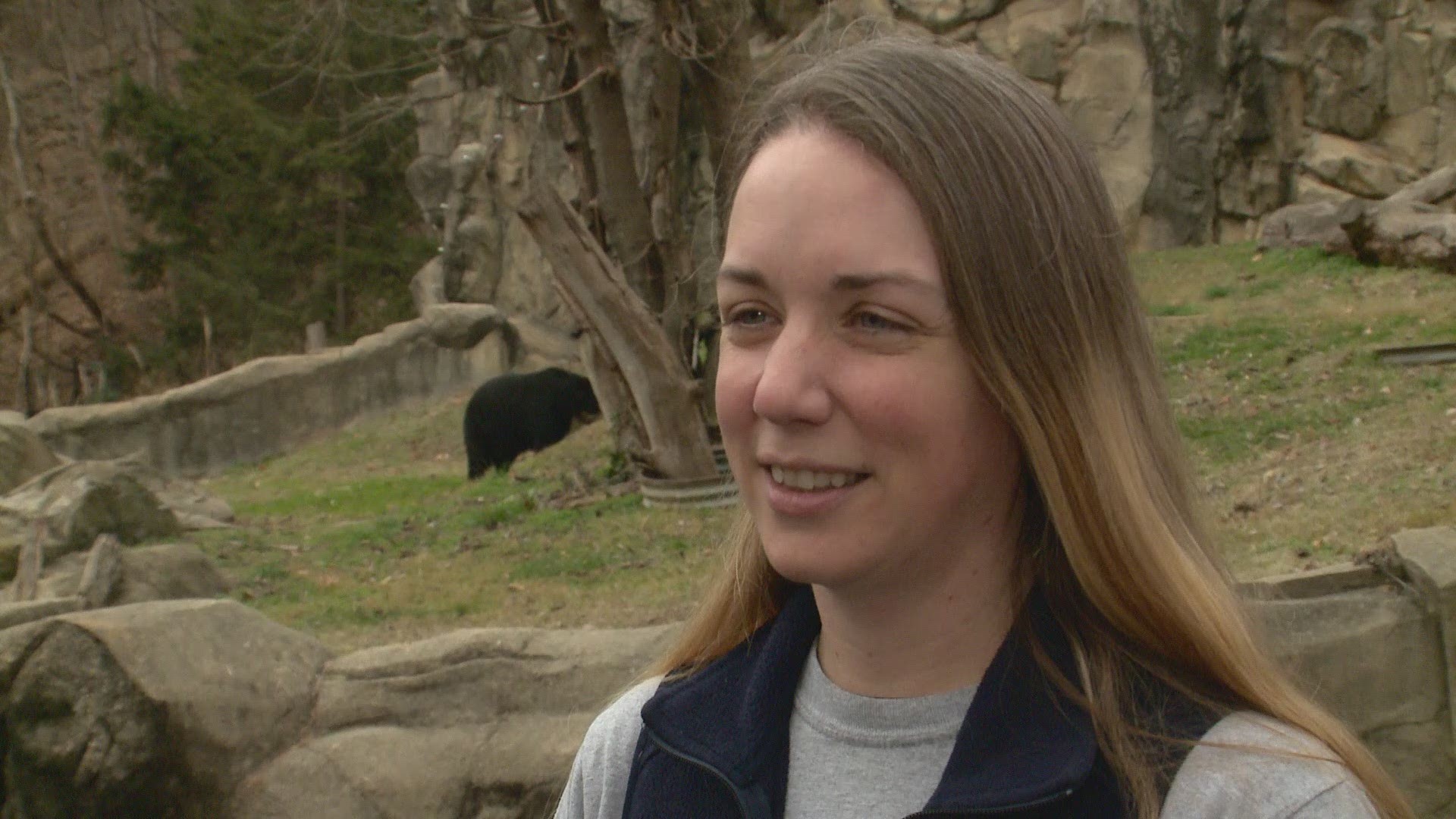 Zookeeper Sara Colandrea shares how the zoo prepares bears Billie Jean and Quito for breeding and reproduction.