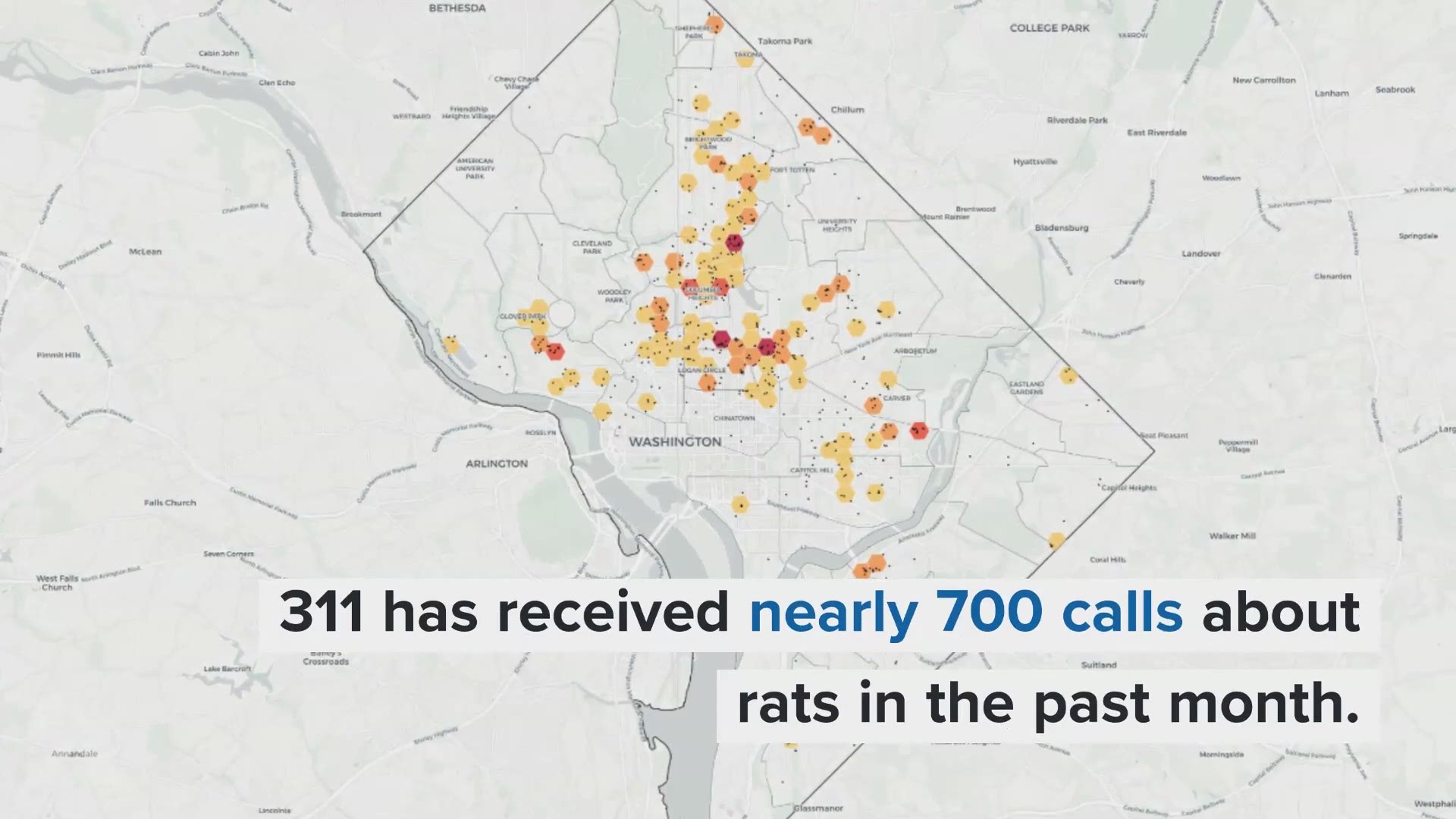 D.C. residents have called in rat problems nearly 700 times in the past month alone. So, we mapped them all out.